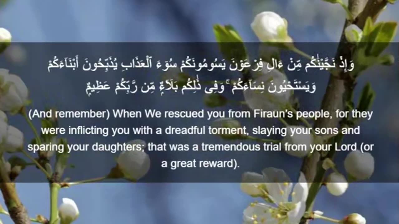 Beautiful recitation of the Holy Quran||تلاوة جميلة للقرآن الكريم