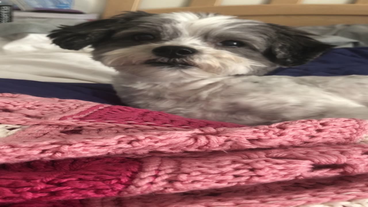 This is one of my favorite videos of Cloe❤️