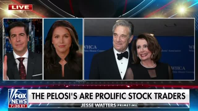 Tulsi: The Pelosi's are Prolific Stock Traders