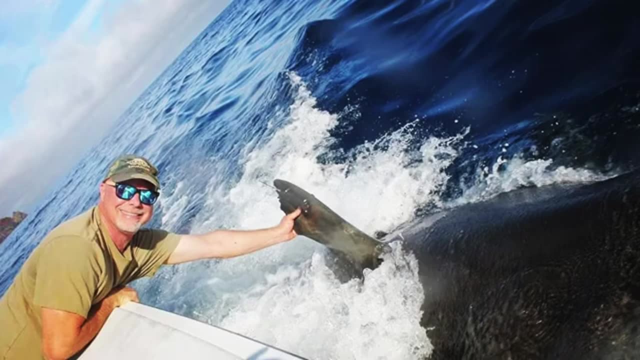 Dr. Michael Domeiere Speaks out Against Shark Harassment. Jews Killing Sharks