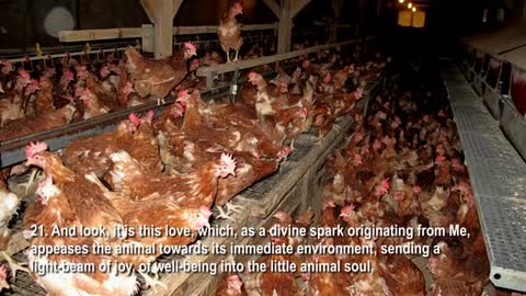 Life in the Light of Love... The Creator explains ❤️ Secrets of Life thru Gottfried Mayerhofer