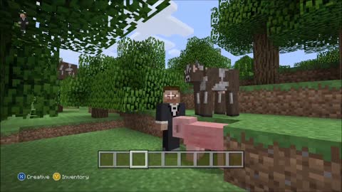 Minecraft (Funny Selfies)