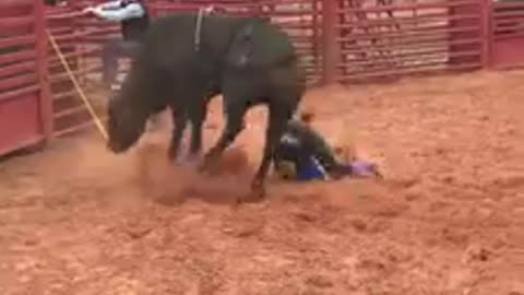 Most dangerous game with Bull