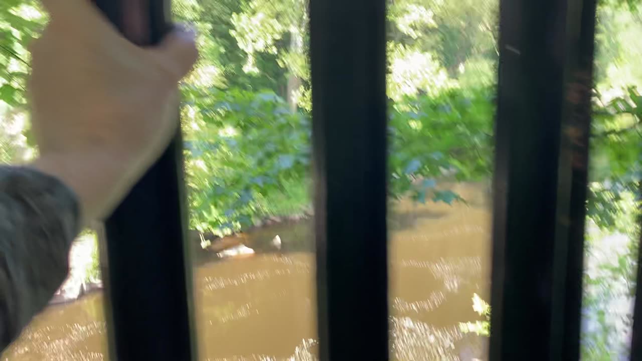 High Falls Cliff Jump (Roebling Viaduct, NYS) 2