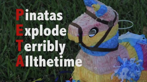 Pinata Abuse