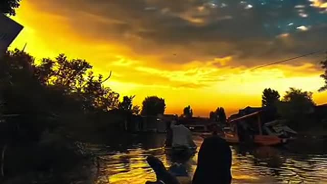 The setting sun in summer