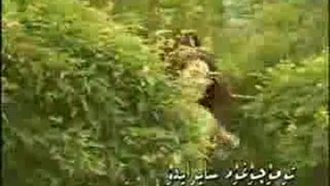 Tumuchughum Sayraydu