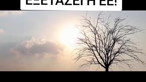 Ψυχαγωγία άφθονη
