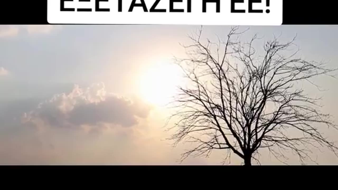 Ψυχαγωγία άφθονη