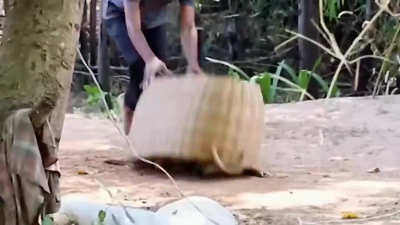 Trending Hilarious animals prank