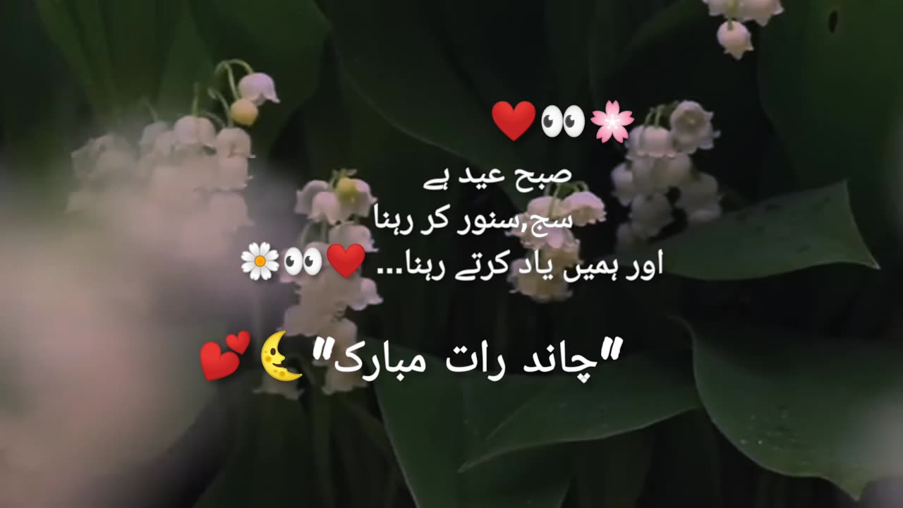 Chand rat Mubarak🌸❤👀