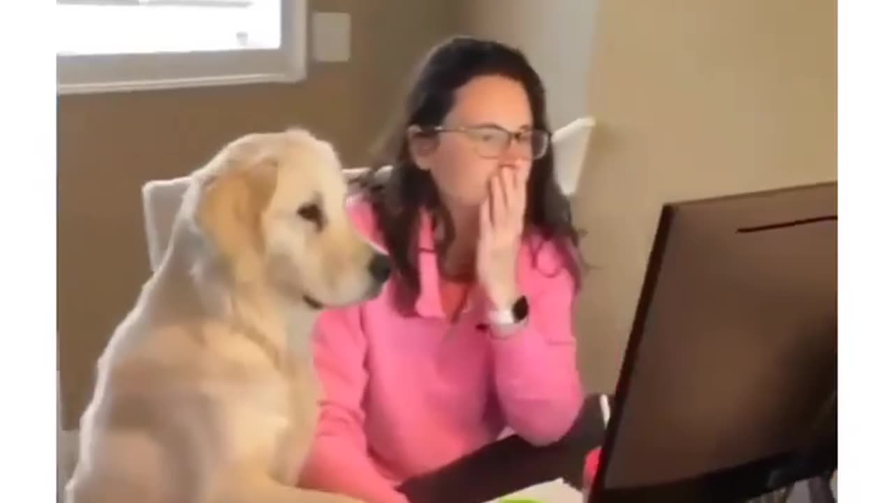 Just trying to help with the workload! This pup is a curious computer assistant