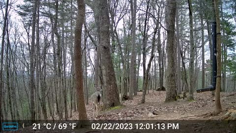 The Woods – 02/23/2023
