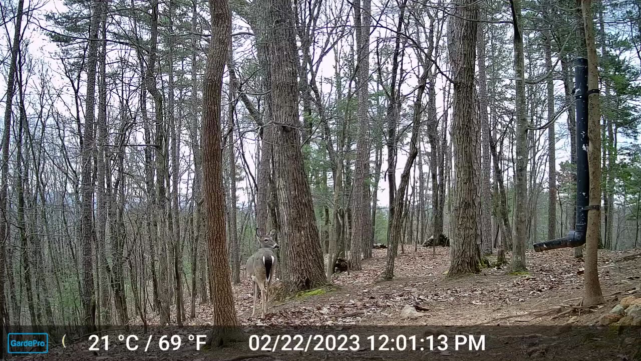 The Woods – 02/23/2023