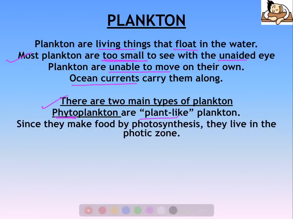 Environment and Ecology Lecture 9.1 - Marine Organisms