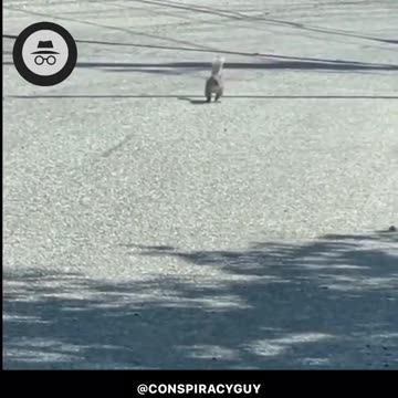 Failure in the Matrix do you Belive Her Video?