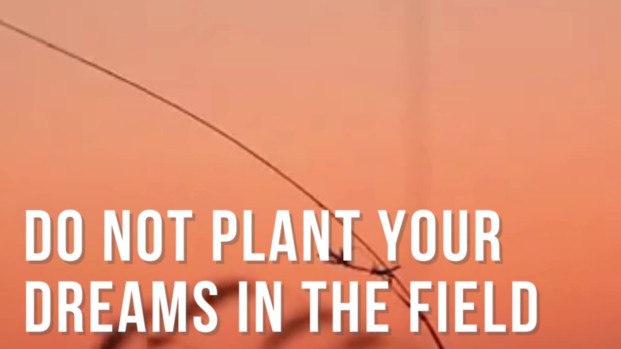 Dreams in a Field - Inspirational Quote - Short Motivational Video