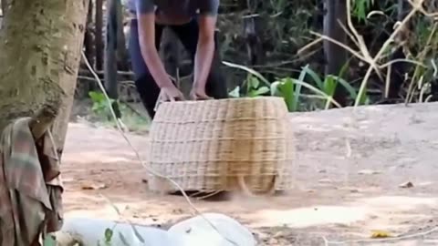 Troll Prank Dog Funny & fake Lion and Fake Tiger Prank