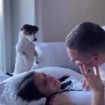 Funniest pranks you'll see today 😂🤣 (8)