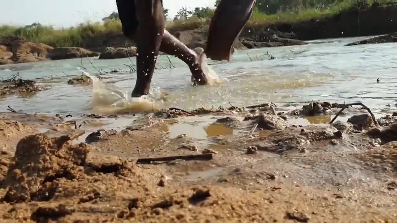 See how the fish is caught by bait chicken