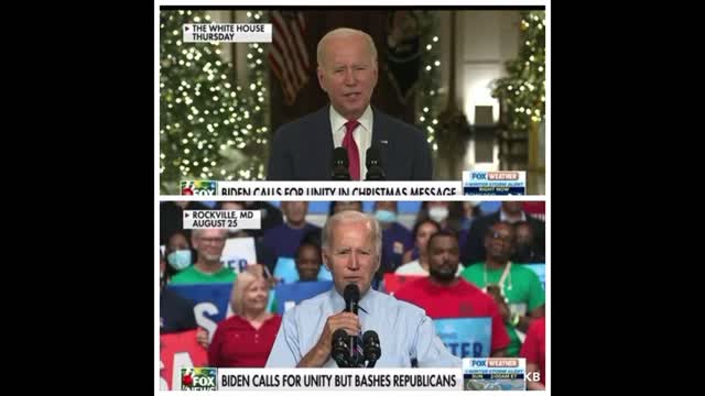 The Two Bidens