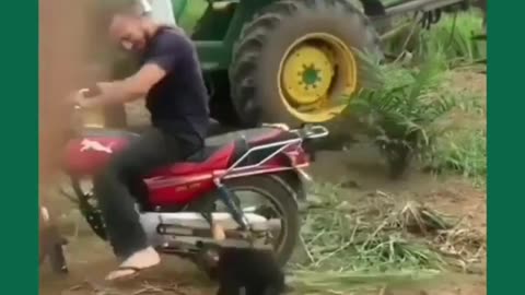 when the younger brother asks for a ride