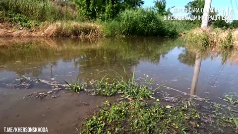 Villagers flee after massive Ukraine dam destroyed