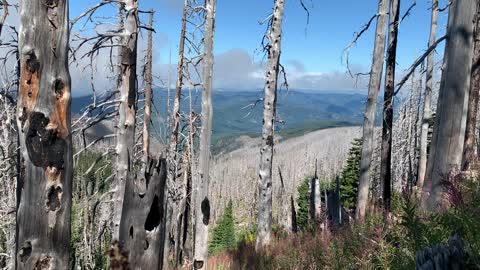 Oregon – Mount Hood – Highland Views of Incredible Basin