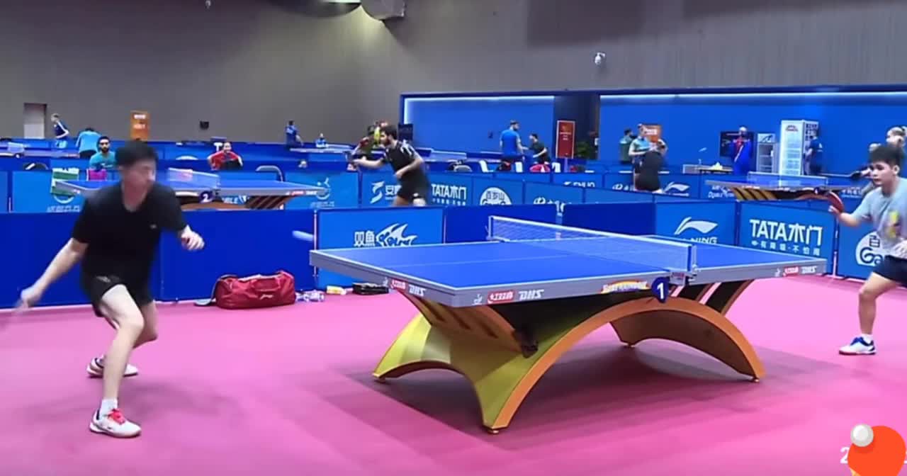 Ma Long Forehand & Backhand Topspin in slow-motion #tabletennis #tabletennislive #wtt #MaLong