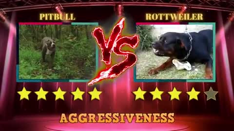 rottweiler and pitbull ability,amazing