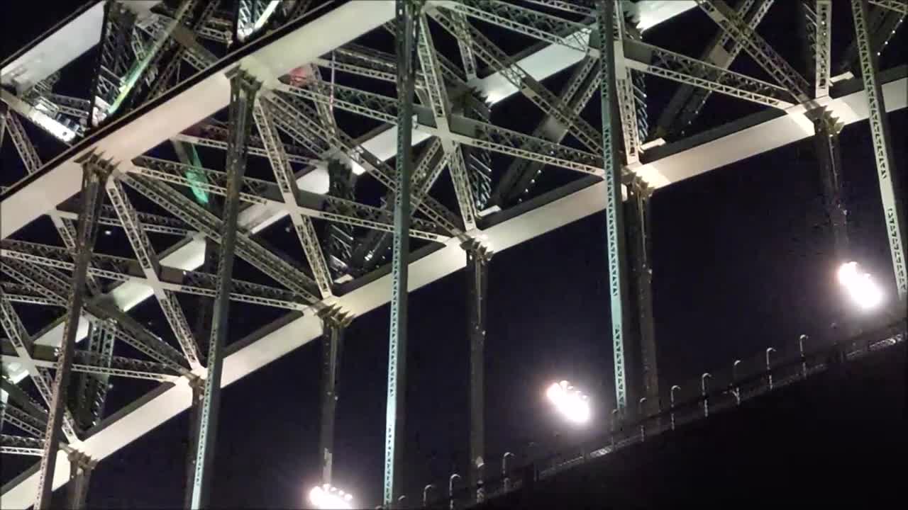 Seagulls Feeding on Moths Above Sydney Harbour Bridge at Night