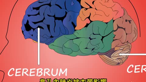 「挖鼻孔」 增罹患阿茲海默風險