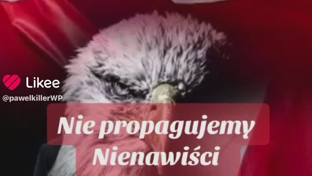 🦅ORŁY WOLNOŚCI🦅