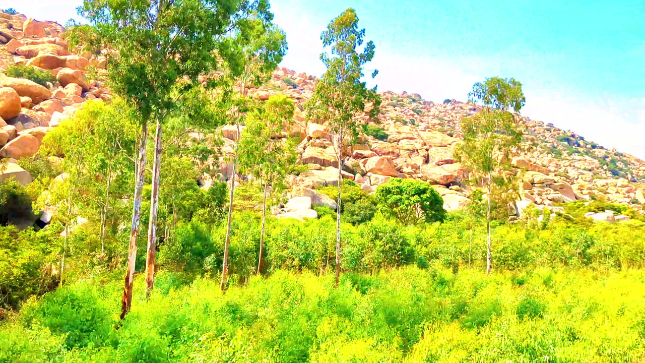 Chitradurga Karnataka India