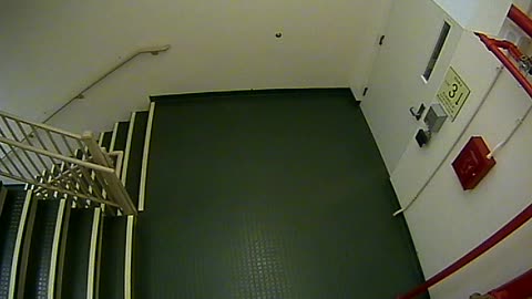 8403OHOB03Stair4_2021-01-06_08h37min58s857ms.mp4