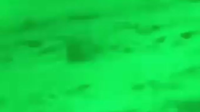 Can that be a real giant