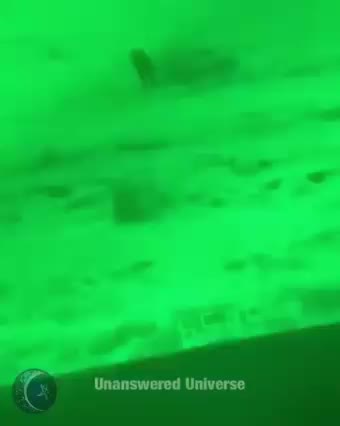 Can that be a real giant