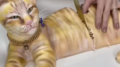 Cutting a cat 😺🐈