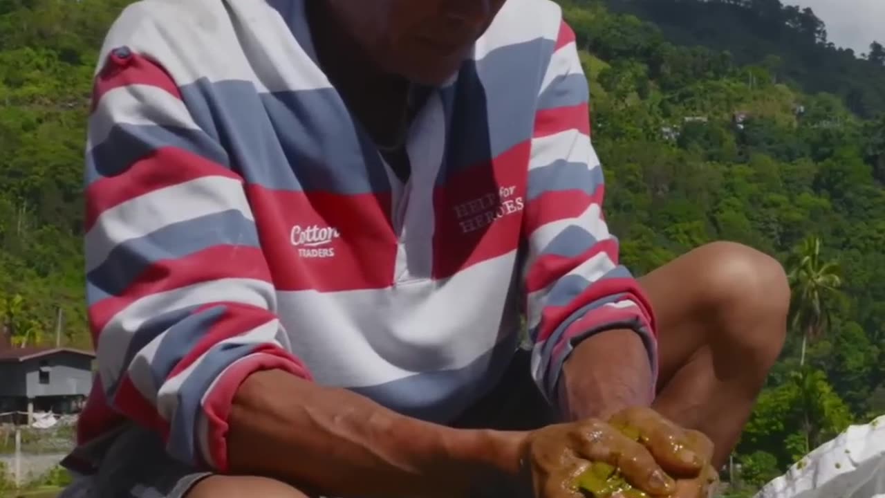 Delicious Beef Recipe: Cooking Papa Etan's Stomach-Infused Grass Soup