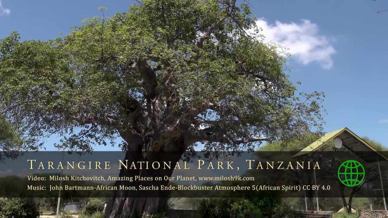 Tarangire National Park, Tanzania [Amazing Places 4K]