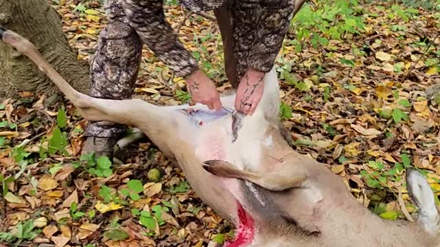 Part 2 Carl's PA buck