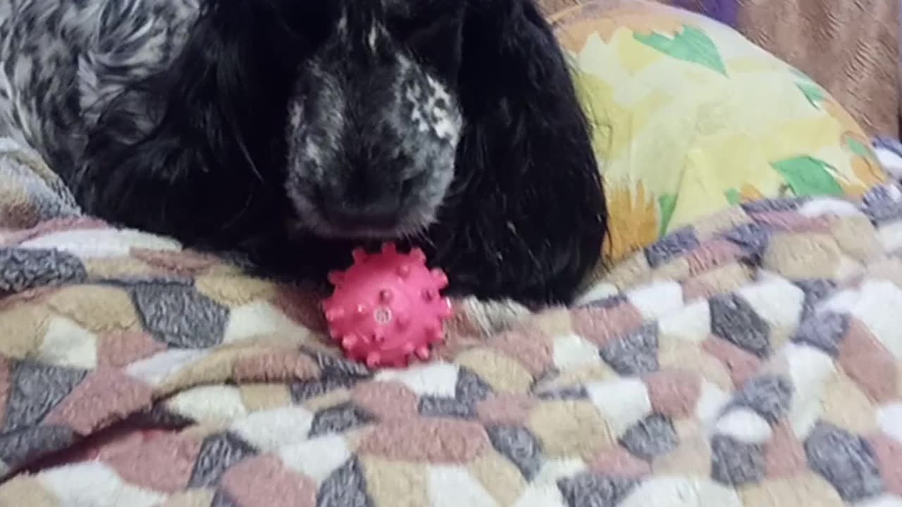 He plays, but he doesn't give his ball away