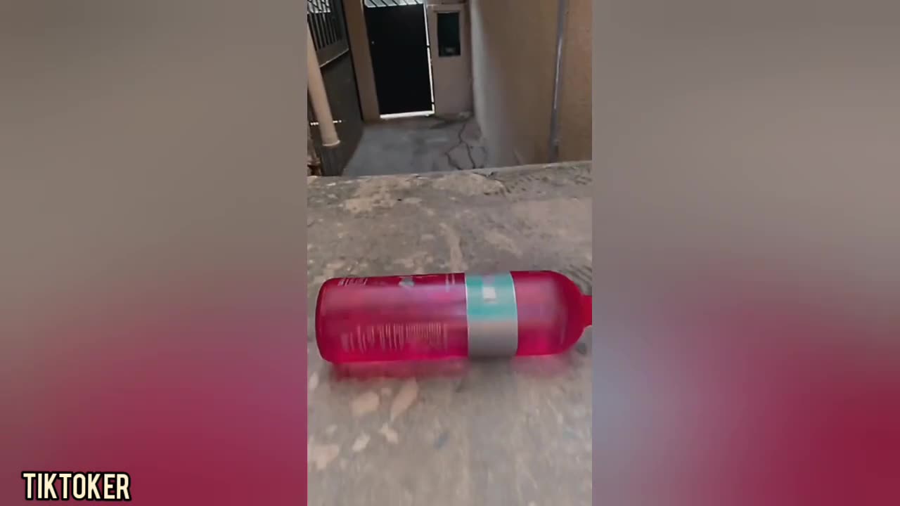 Bottle Rolling Down Stairs ASMR TikTok Compilaiton #2