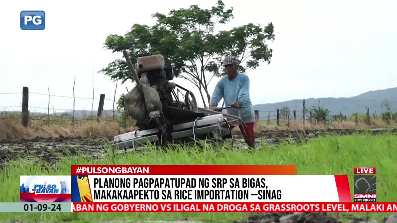 Planong pagpapatupad ng SRP sa bigas, makakaapekto sa rice importation- SINAG