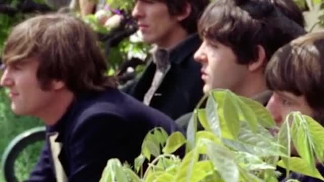 DOWN THE RABBIT HOLE - THE BEATLES