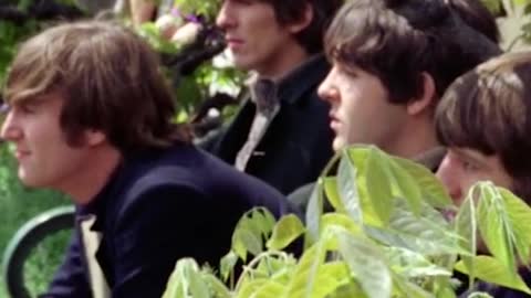 DOWN THE RABBIT HOLE - THE BEATLES