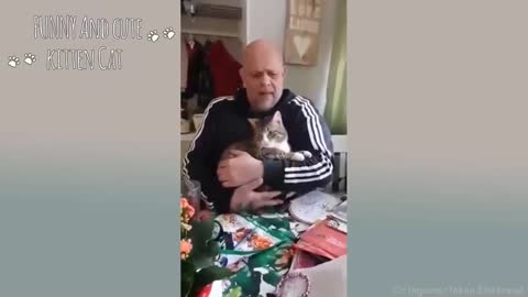No home is complete without the cat 😸🏠 Cute cat and human are best friends part 3