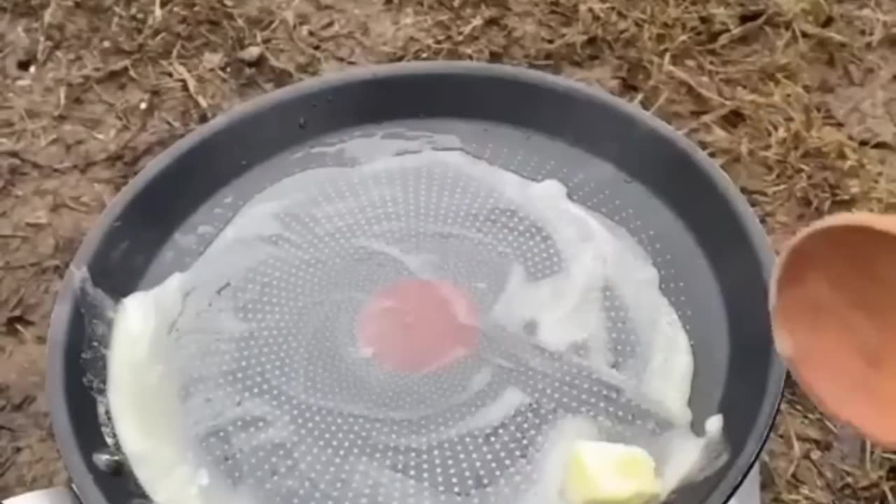 Soo funny animals videos