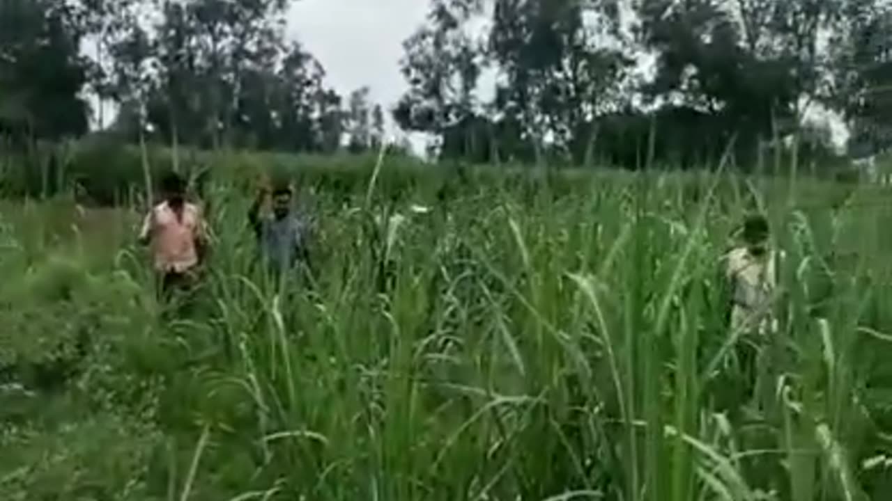 Huh