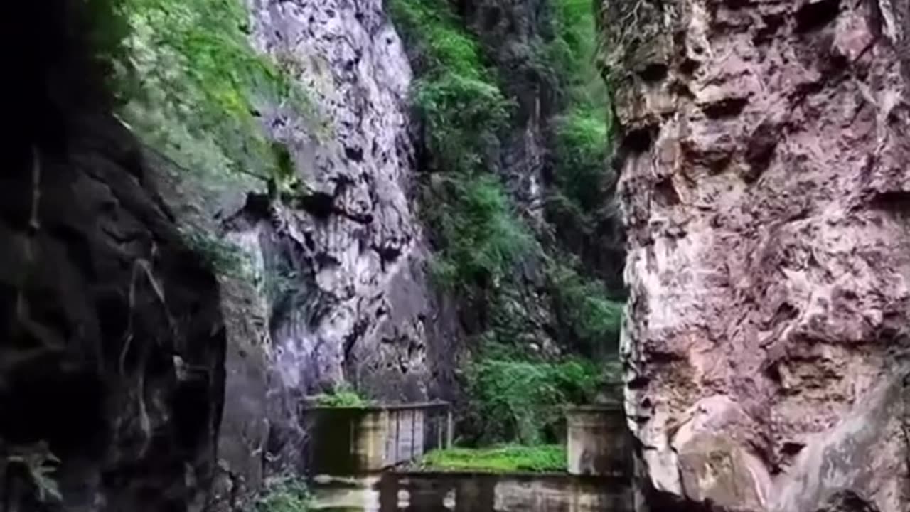 STUNNING BACKGROUND WITH BEAUTIFUL SONG HALLELUJAH